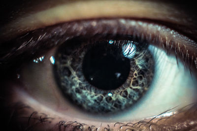 Close-up portrait of woman eye