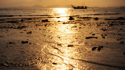 Scenic view of beach against sky during sunset