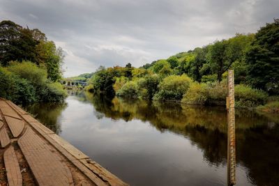 Scenic view of river by trees against sky