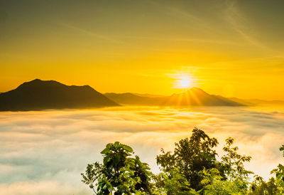 Scenic view of sunset