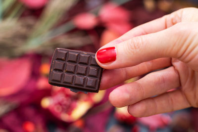Close-up of hand holding red leaf