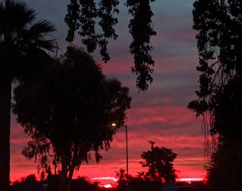 Low angle view of silhouette trees against sky at sunset