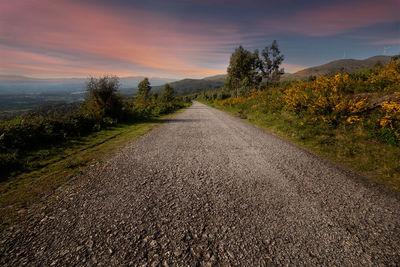 Road amidst trees against sky during sunset