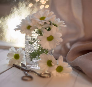 Close-up of white daisy flowers in vase