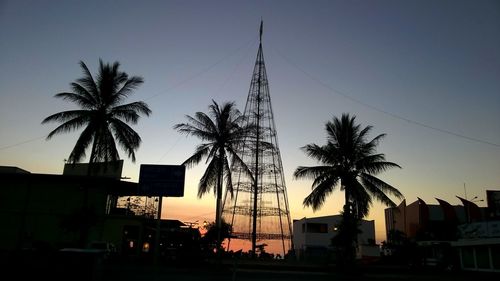 Low angle view of palm trees against sky