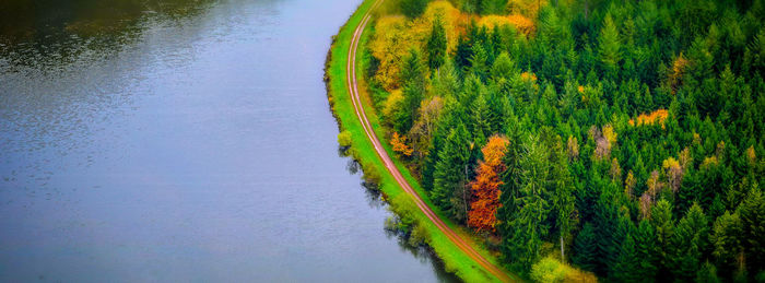 Scenic view of river amidst trees