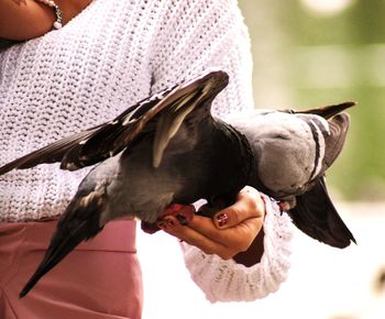 Midsection of woman holding bird