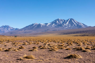 Scenic view of snowcapped mountains against clear blue sky