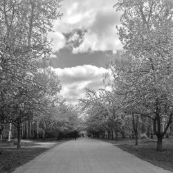 Empty road with trees in background