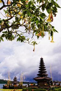 Low angle view of pagoda against sky