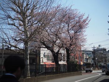 View of buildings along road