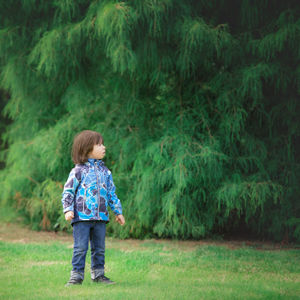 Full length of boy standing on grass in park