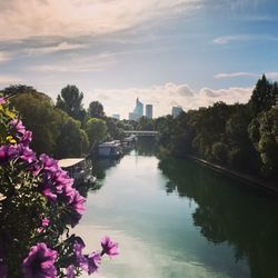 Scenic view of river in city against sky