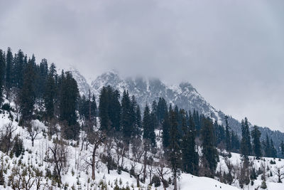 Solang valley, manali, himachal pradesh during winter