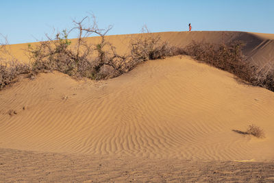 A woman standing on the top of a beautiful sand dune at north horr sand dunes in marsabit, kenya