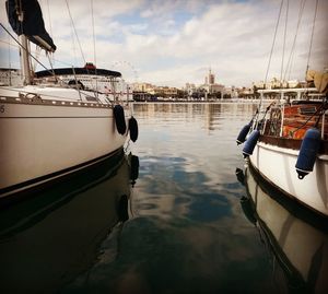 Sailboats moored in harbor