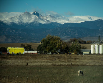 Scenic view of rural landscape