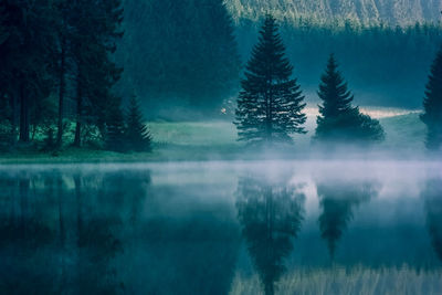 Reflection of trees in lake against sky