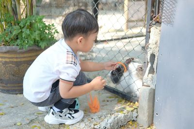 Portrait of boy playing with dog
