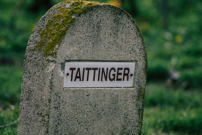 Close-up of sign on plant at cemetery