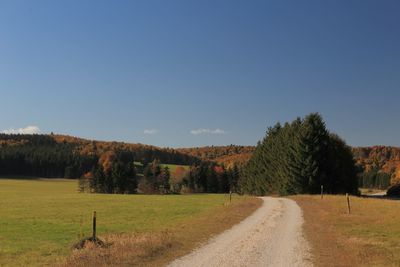 Road amidst trees on field against clear sky