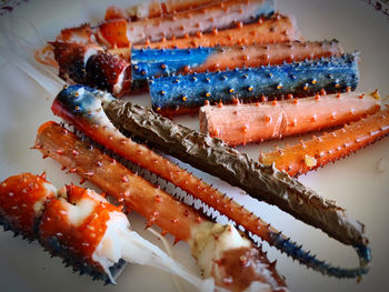 High angle view of fish in plate