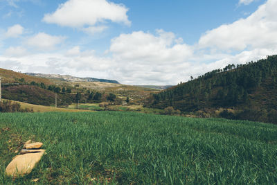 Scenic view of landscape against sky