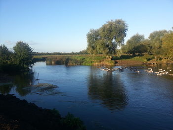 Scenic view of calm lake against clear sky