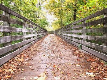 Footpath amidst autumn leaves in forest