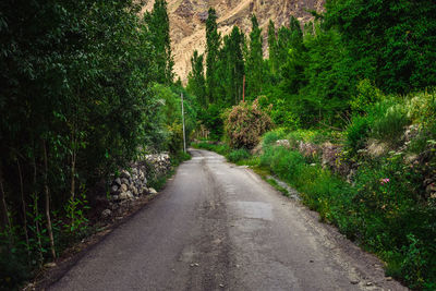 Road amidst trees