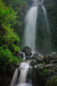 Waterfall in forest