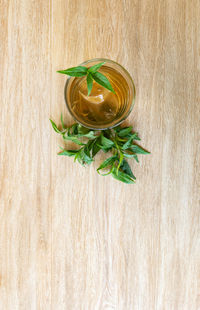 High angle view of plant on table