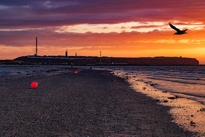 Scenic view of sea and beach against sky during sunset