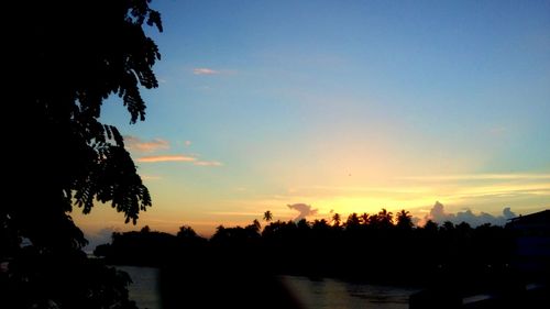 Silhouette trees by calm lake at sunset