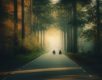People riding bicycle on road amidst trees in forest