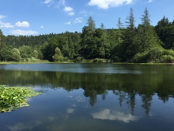 Scenic view of lake in forest against sky