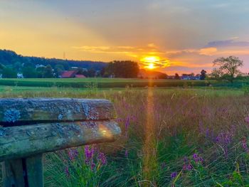 Scenic view of field against sky during sunset