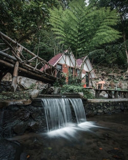 Scenic view of waterfall in forest