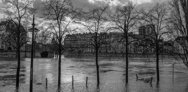 Bare trees by water against sky