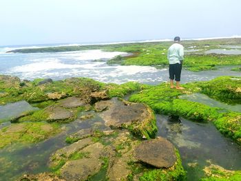 Rear view of man standing on rock by sea