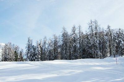 Scenic view of snow covered landscape