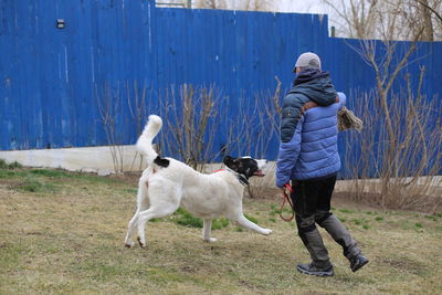 Rear view of man with dog in garden