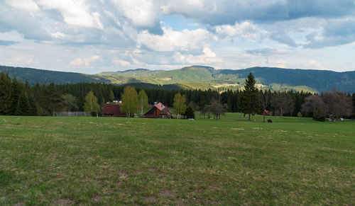 Scenic view of field against sky