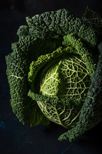 High angle view of vegetables on table