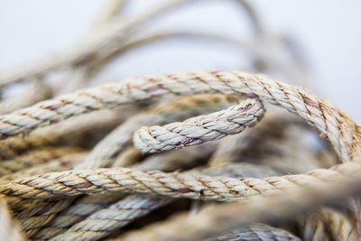 Close-up of rope