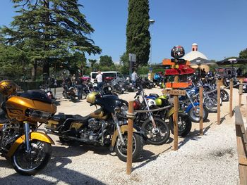 People riding bicycles on street in city
