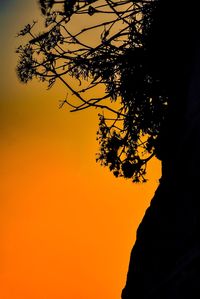 Low angle view of silhouette tree against orange sky