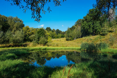 Scenic view of trees against clear sky