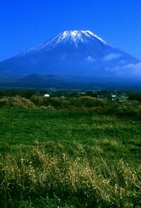 Scenic view of landscape