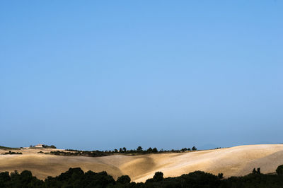 Scenic view of field against clear blue sky